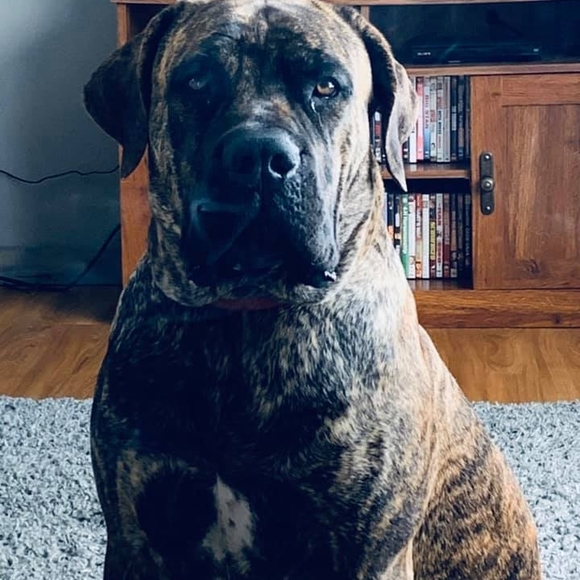 Meet your Posher, Teresa - Picture 1 of 1